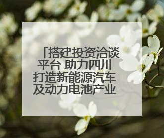 搭建投资洽谈平台 助力四川打造新能源汽车及动力电池产业发展高地