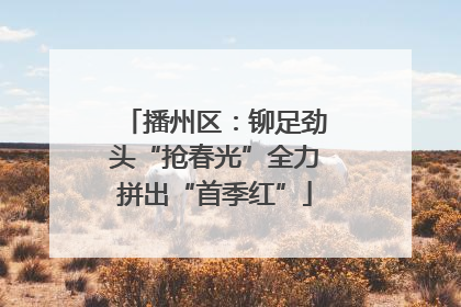 播州区：铆足劲头“抢春光”全力拼出“首季红”