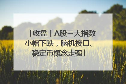 收盘丨A股三大指数小幅下跌，脑机接口、稳定币概念走强