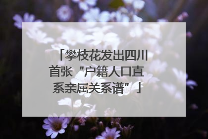 攀枝花发出四川首张“户籍人口直系亲属关系谱”