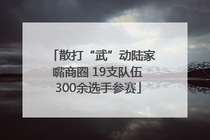 散打“武”动陆家嘴商圈 19支队伍300余选手参赛