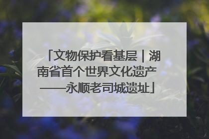 文物保护看基层｜湖南省首个世界文化遗产——永顺老司城遗址