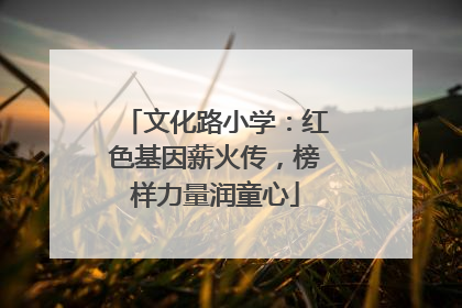 文化路小学：红色基因薪火传，榜样力量润童心