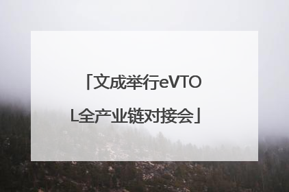 文成举行eVTOL全产业链对接会
