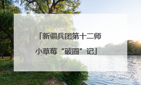新疆兵团第十二师小草莓“破圈”记
