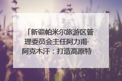 新疆帕米尔旅游区管理委员会主任阿力甫·阿克木汗：打造高原特色文旅品牌 推动县域旅游高质量发展｜第七届全国县域旅游研究成果发布系列活动