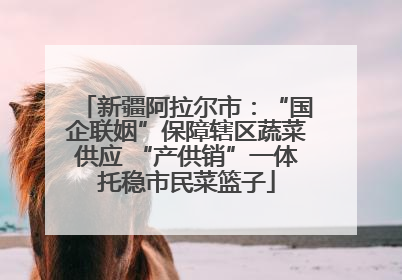 新疆阿拉尔市：“国企联姻”保障辖区蔬菜供应 “产供销”一体托稳市民菜篮子