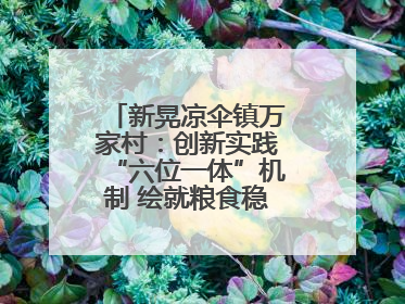 新晃凉伞镇万家村：创新实践“六位一体”机制 绘就粮食稳产增收新图景