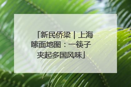 新民侨梁｜上海嗦面地图：一筷子夹起多国风味