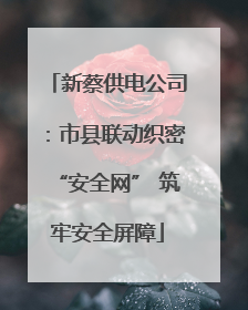 新蔡供电公司：市县联动织密“安全网” 筑牢安全屏障