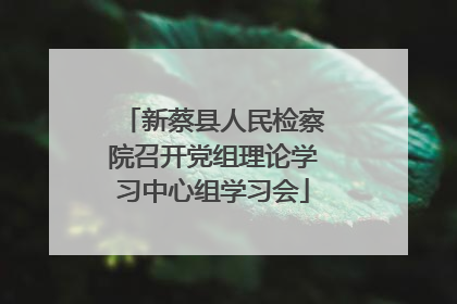 新蔡县人民检察院召开党组理论学习中心组学习会