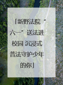 新野法院“六一”送法进校园 沉浸式普法守护少年的你