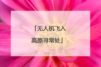 无人机飞入高原寻常处
