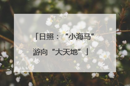 日照：“小海马”游向“大天地”