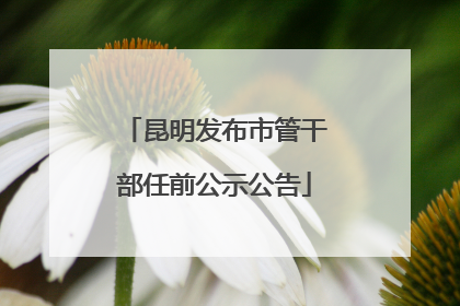 昆明发布市管干部任前公示公告