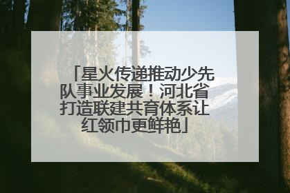 星火传递推动少先队事业发展！河北省打造联建共育体系让红领巾更鲜艳
