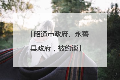 昭通市政府、永善县政府，被约谈