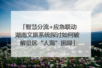 智慧分流+应急联动 湖南文旅系统探讨如何破解景区“人海”困局