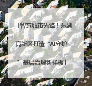 智慧城市先锋！东湖高新区打造“AI守护”基层治理新样板