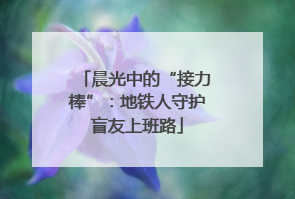 晨光中的“接力棒”：地铁人守护盲友上班路