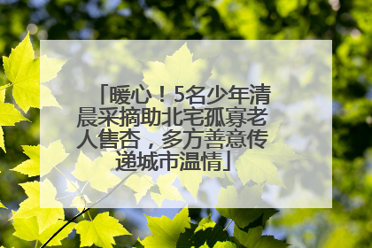 暖心！5名少年清晨采摘助北宅孤寡老人售杏，多方善意传递城市温情