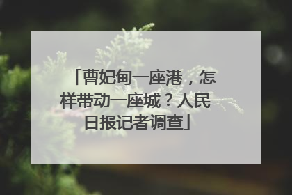 曹妃甸一座港，怎样带动一座城？人民日报记者调查