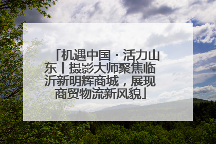 机遇中国・活力山东丨摄影大师聚焦临沂新明辉商城，展现商贸物流新风貌