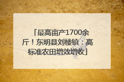 最高亩产1700余斤！东明县刘楼镇：高标准农田增效增收