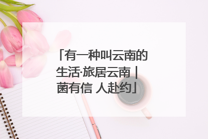有一种叫云南的生活·旅居云南｜菌有信 人赴约