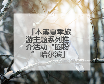本溪夏季旅游主题系列推介活动“圈粉” 哈尔滨