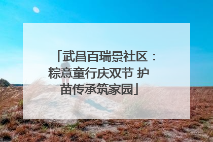 武昌百瑞景社区：粽意童行庆双节 护苗传承筑家园