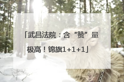 武昌法院：含“赞”量极高！锦旗1+1+1