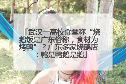 武汉一高校食堂称“烧鹅饭是广东俗称，食材为烤鸭”？广东多家烧鹅店：鸭是鸭鹅是鹅