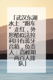 武汉东湖水上“跑车”走红，外形酷似法拉利且有蓝牙音箱，负责人：高峰期一两百人排队