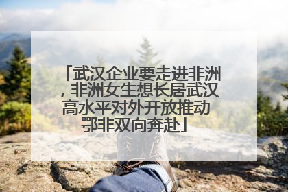 武汉企业要走进非洲，非洲女生想长居武汉 高水平对外开放推动鄂非双向奔赴