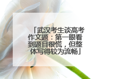 武汉考生谈高考作文题：第一眼看到题目很慌，但整体写得较为流畅