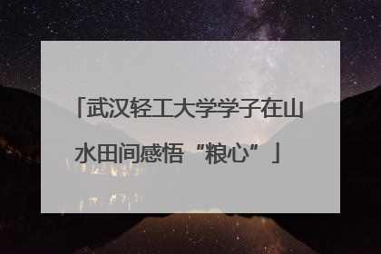 武汉轻工大学学子在山水田间感悟“粮心”
