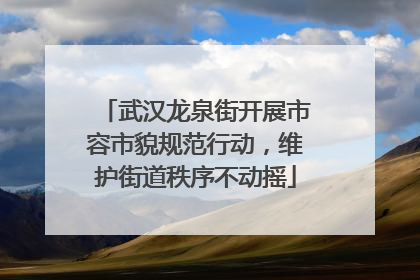 武汉龙泉街开展市容市貌规范行动，维护街道秩序不动摇