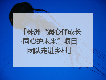 株洲“润心伴成长·同心护未来”项目团队走进乡村