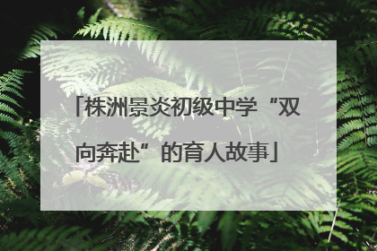 株洲景炎初级中学“双向奔赴”的育人故事