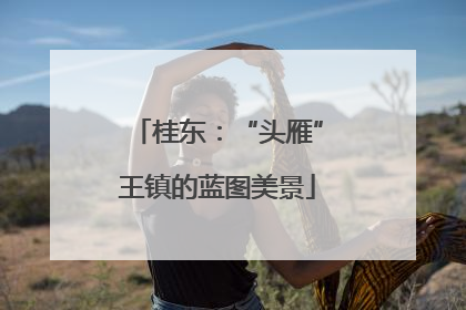 桂东：“头雁”王镇的蓝图美景