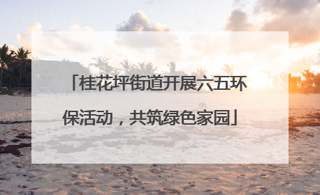 桂花坪街道开展六五环保活动，共筑绿色家园