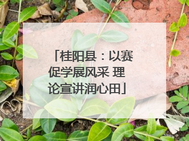 桂阳县：以赛促学展风采 理论宣讲润心田
