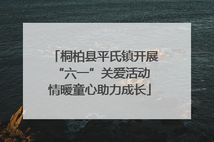 桐柏县平氏镇开展“六一”关爱活动 情暖童心助力成长