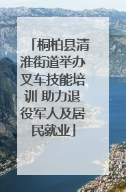 桐柏县清淮街道举办叉车技能培训 助力退役军人及居民就业