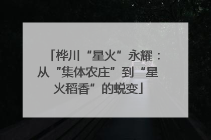 桦川“星火”永耀：从“集体农庄”到“星火稻香”的蜕变