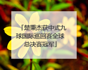 楚秉杰获中式九球国际巡回赛全球总决赛冠军
