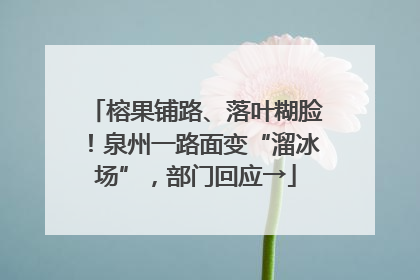 榕果铺路、落叶糊脸！泉州一路面变“溜冰场”，部门回应→