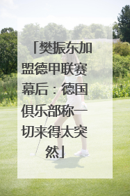 樊振东加盟德甲联赛幕后：德国俱乐部称一切来得太突然