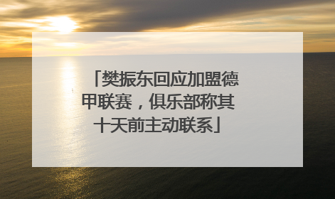 樊振东回应加盟德甲联赛，俱乐部称其十天前主动联系